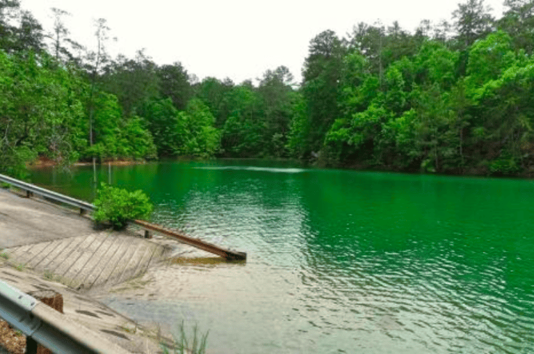 The 15 Best Bass Fishing Lakes in Alabama Local Expert Guide