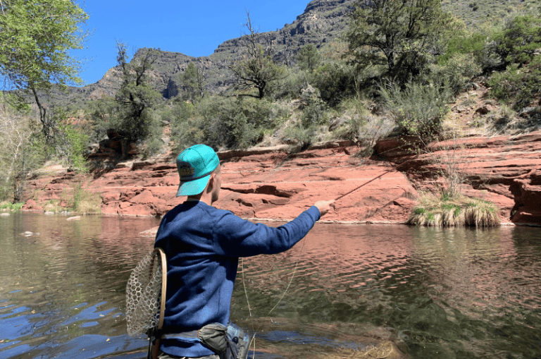 The Best Trout Fishing in Arizona 2024 14 Top Rivers and Lakes