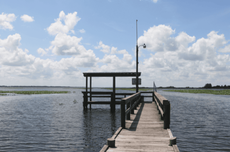 The 15 Best Bass Fishing Spots in Florida (2024) Expert Guide