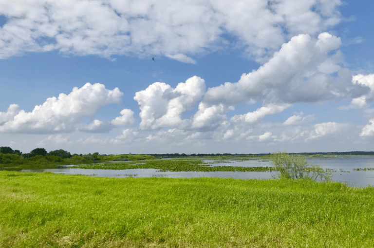 The 15 Best Bass Fishing Spots in Florida (2024) Expert Guide