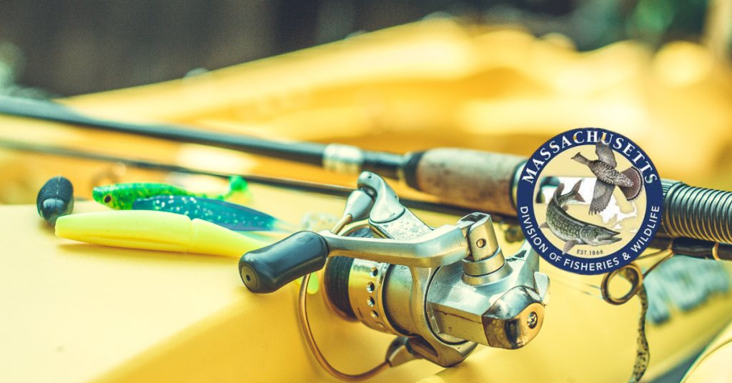 Massachusetts Fishing License 2024 Costs & How to Buy