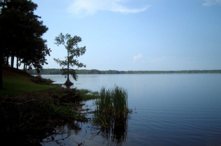 The 16 Best Bass Fishing Lakes and Rivers in Mississippi
