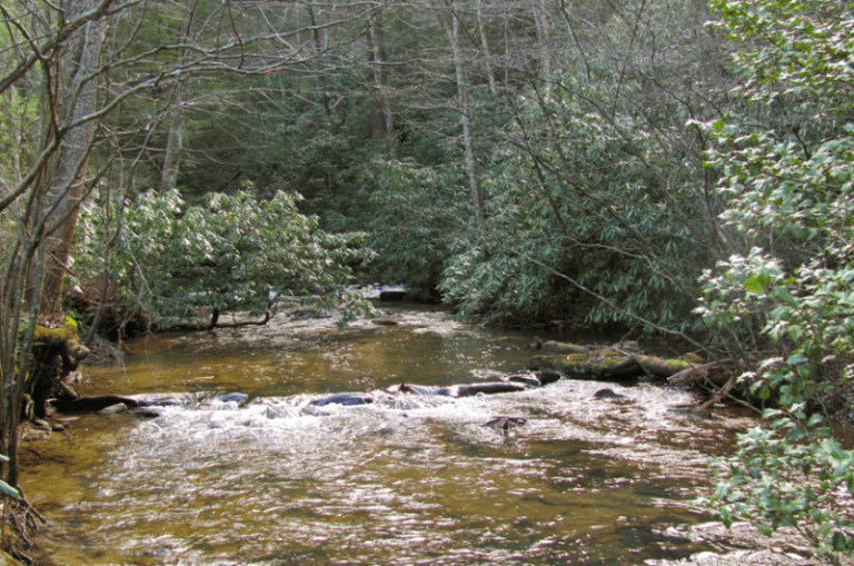 The Best 12 Places To Go Fly Fishing in (And How To Fish Them)