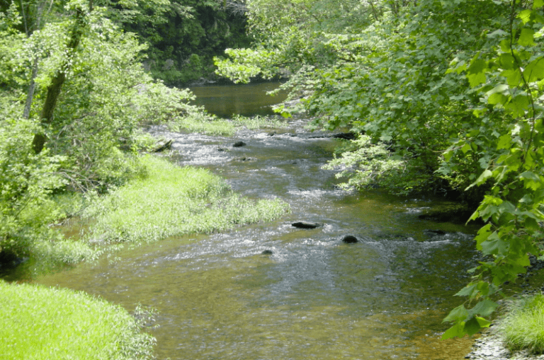 The 18 Best Trout Fishing Rivers and Lakes in Full 2024 Guide