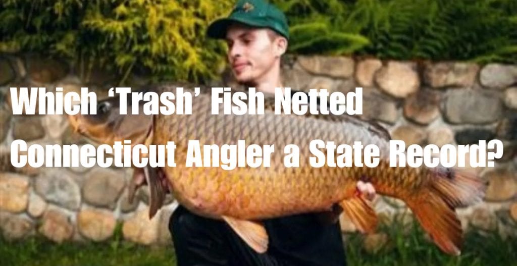 The 10 Best Musky Lures Expert Guide Picks (2024)