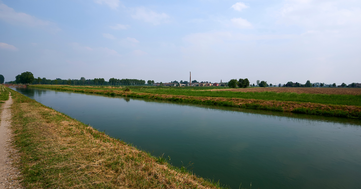 Antwerp canal fishing featured image