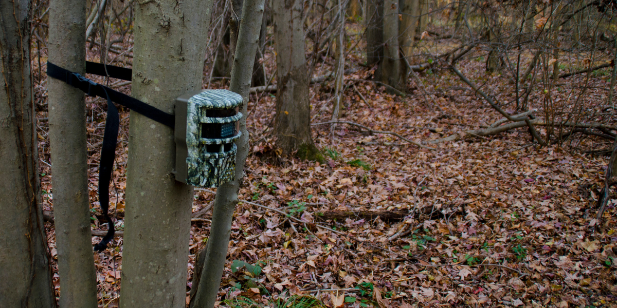 Trail camera